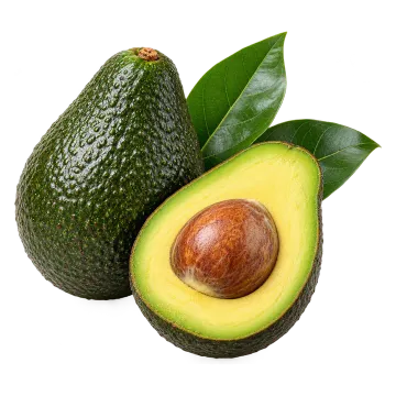 Buah alpukat